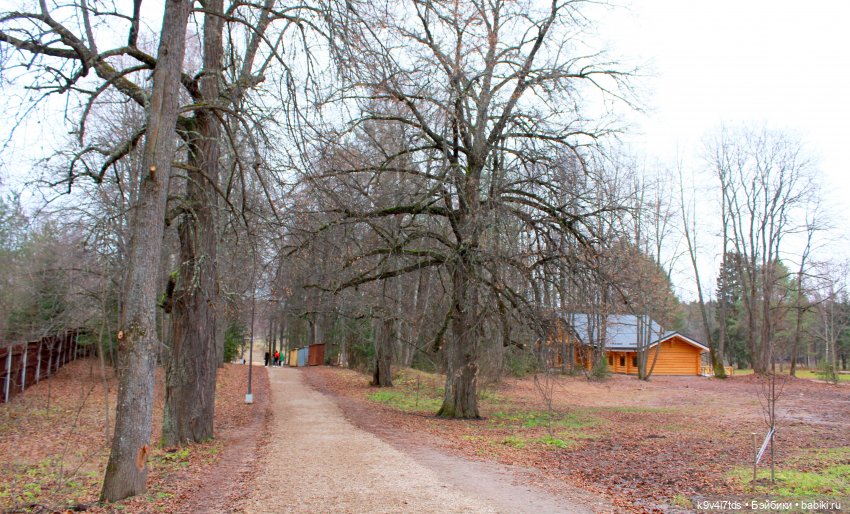 День Седьмого ноября в Усадьбе "Василёво", заключительная часть