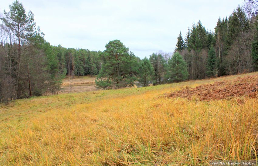 День Седьмого ноября в Усадьбе "Василёво", заключительная часть