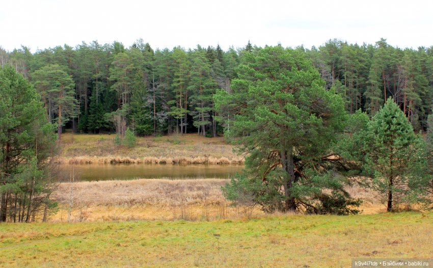 День Седьмого ноября в Усадьбе "Василёво", заключительная часть