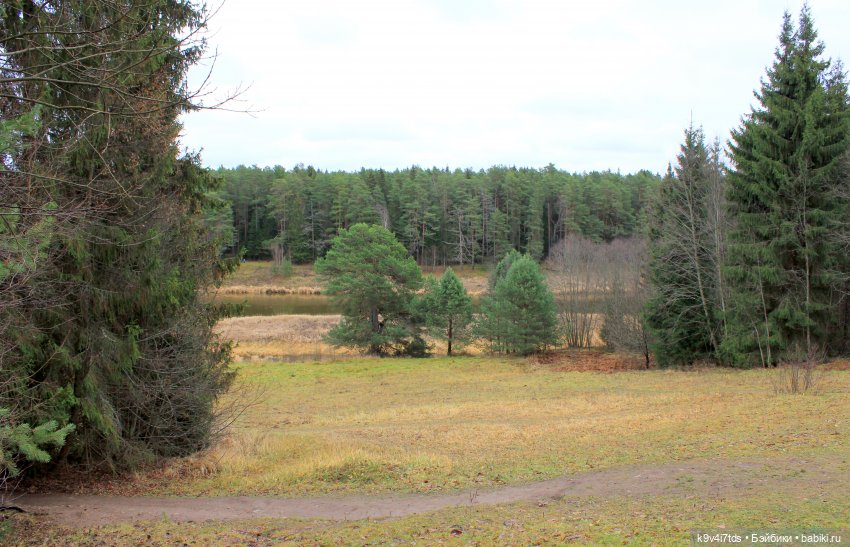 День Седьмого ноября в Усадьбе "Василёво", заключительная часть