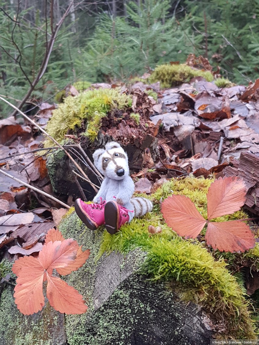 День Седьмого ноября в Усадьбе "Василёво", заключительная часть