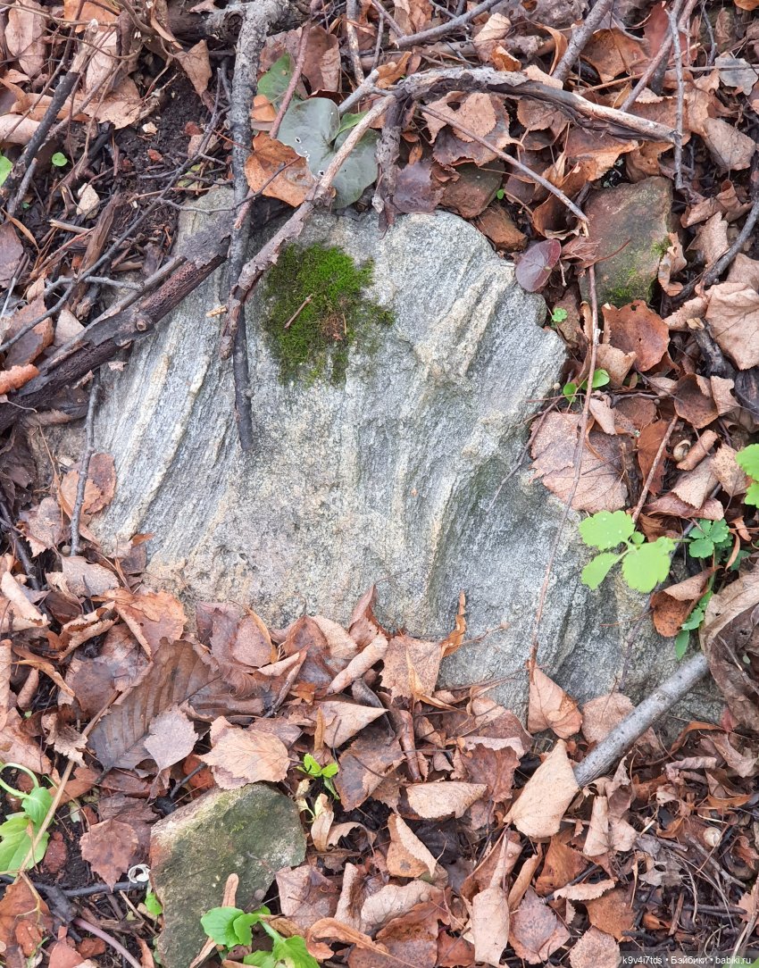 День Седьмого ноября в Усадьбе "Василёво", заключительная часть