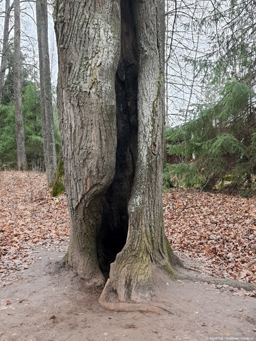 День Седьмого ноября в Усадьбе "Василёво", заключительная часть