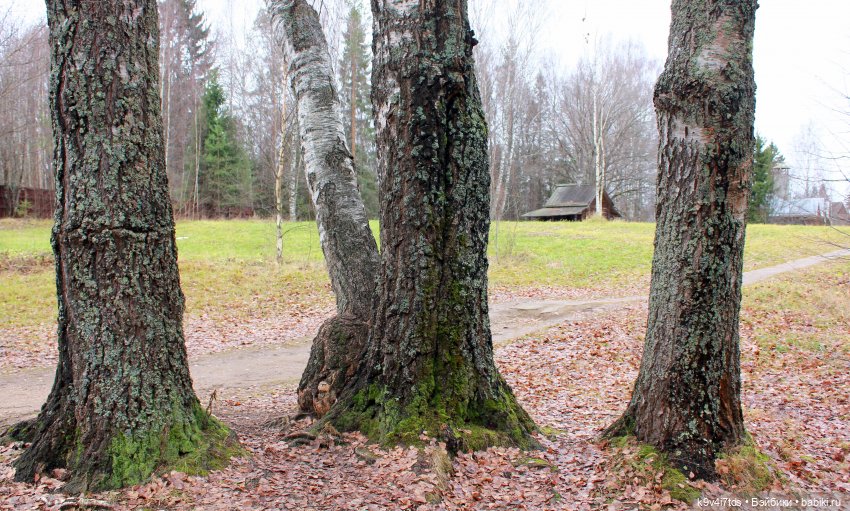День Седьмого ноября в Усадьбе "Василёво", заключительная часть