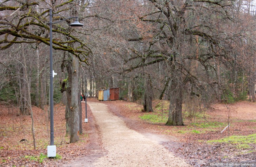 День Седьмого ноября в Усадьбе "Василёво", заключительная часть