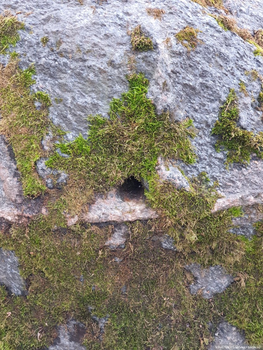 День Седьмого ноября в Усадьбе "Василёво", заключительная часть