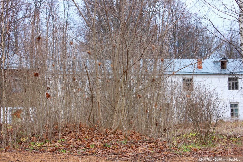 День Седьмого ноября в Усадьбе "Василёво", заключительная часть