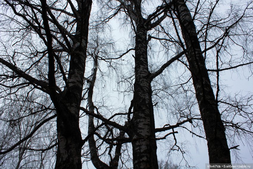 День Седьмого ноября в Усадьбе "Василёво", заключительная часть