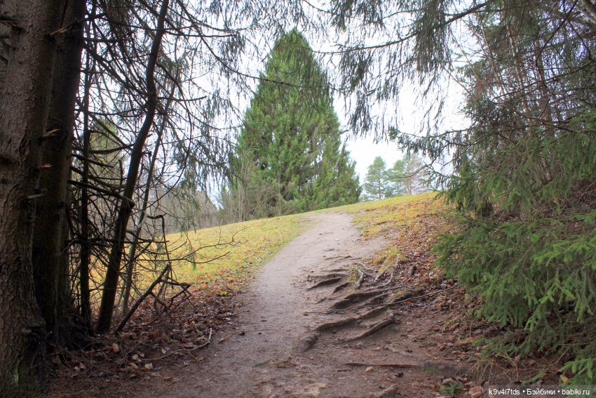 День Седьмого ноября в Усадьбе "Василёво", заключительная часть