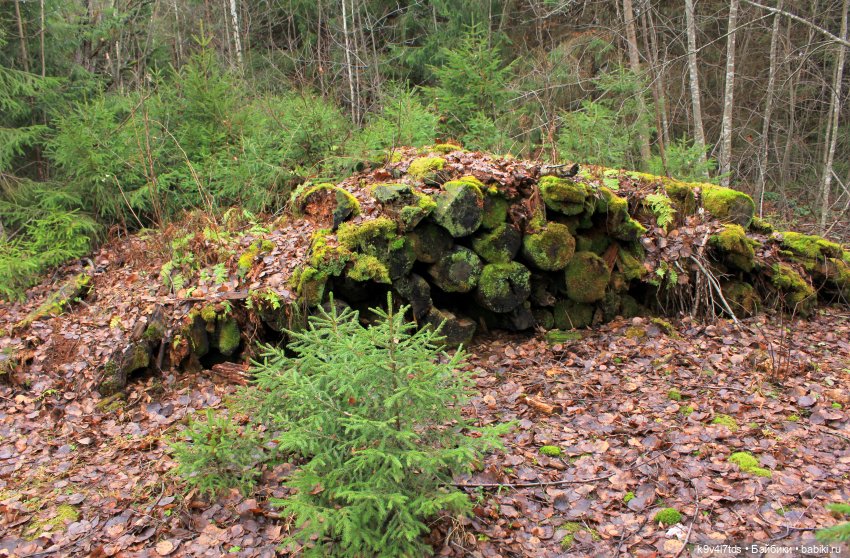 День Седьмого ноября в Усадьбе "Василёво", заключительная часть