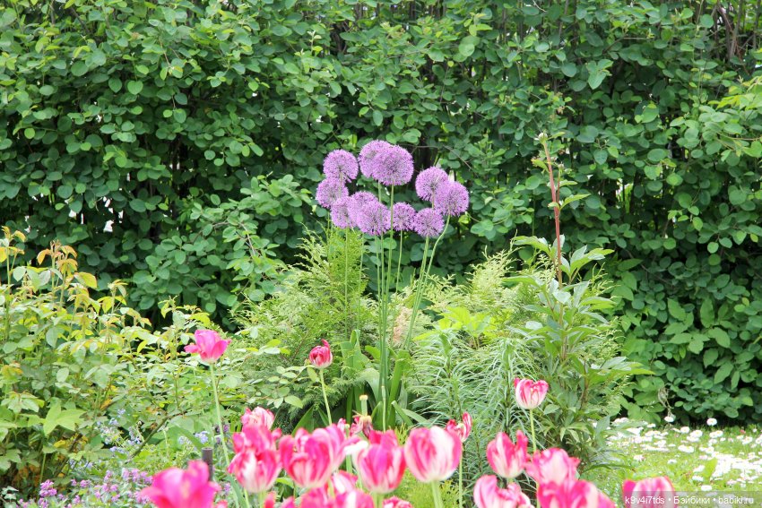 Путешествие в Кимры, часть первая