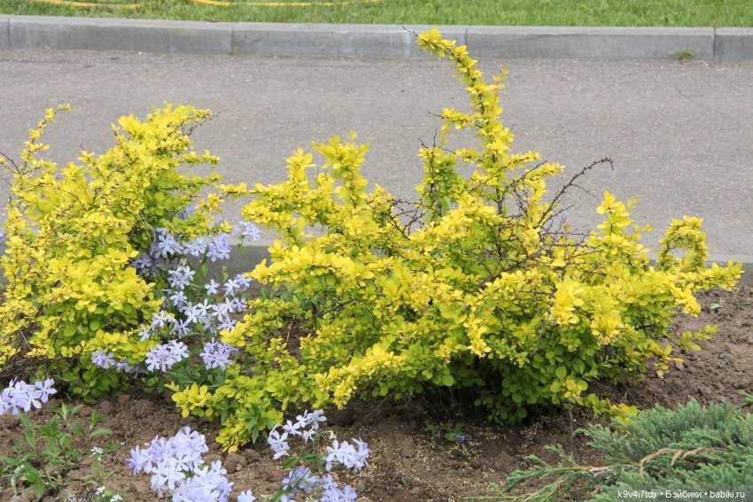 Путешествие в Кимры, часть первая