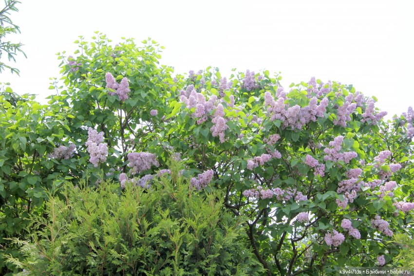 Путешествие в Кимры, часть первая