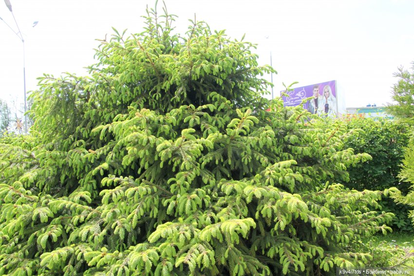 Путешествие в Кимры, часть первая