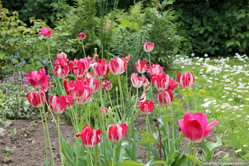 Путешествие в Кимры, часть первая