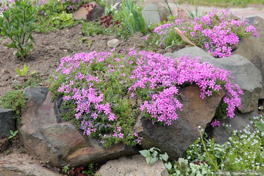 Путешествие в Кимры, часть первая