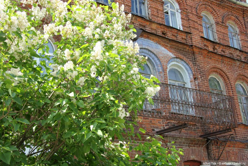 Путешествие в Кимры, шестая часть