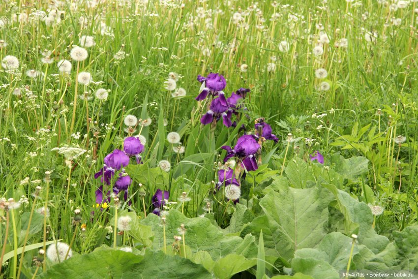 Путешествие в Кимры, часть седьмая