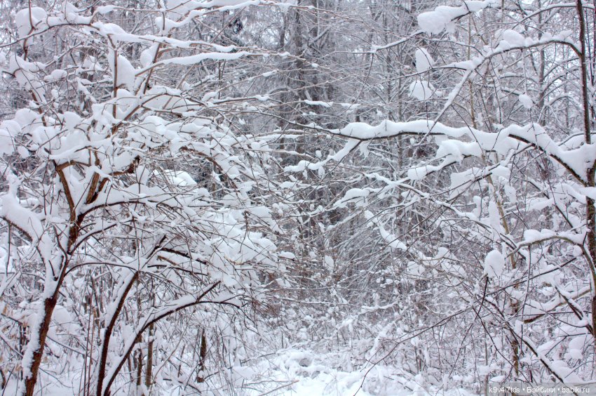 Где живёт Снегурочка? Zwergnase Mischa (фото 10)