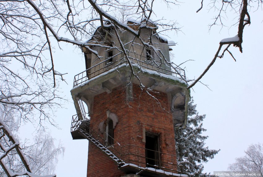 Где живёт Снегурочка? Zwergnase Mischa