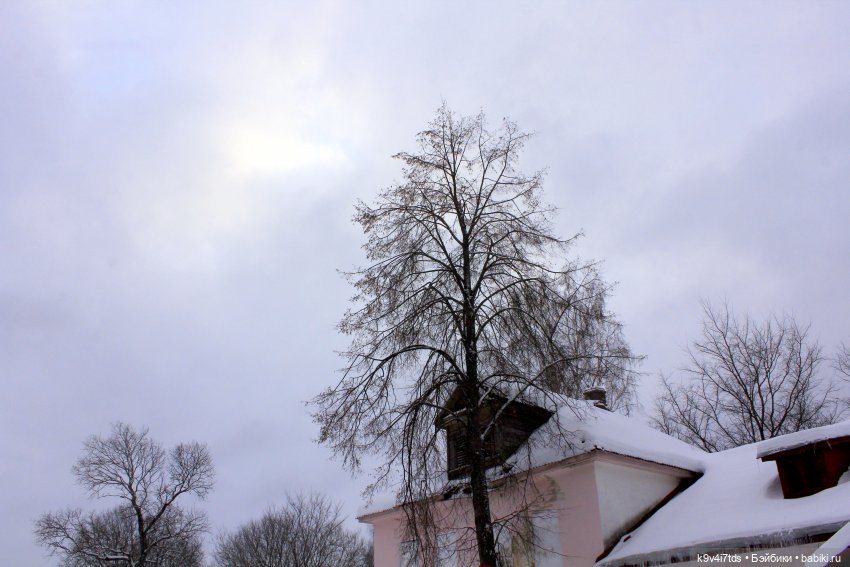 Путешествие в сказочное "Василёво" | Бэйбики Путешествие в сказочное "Василёво" (фото 3)