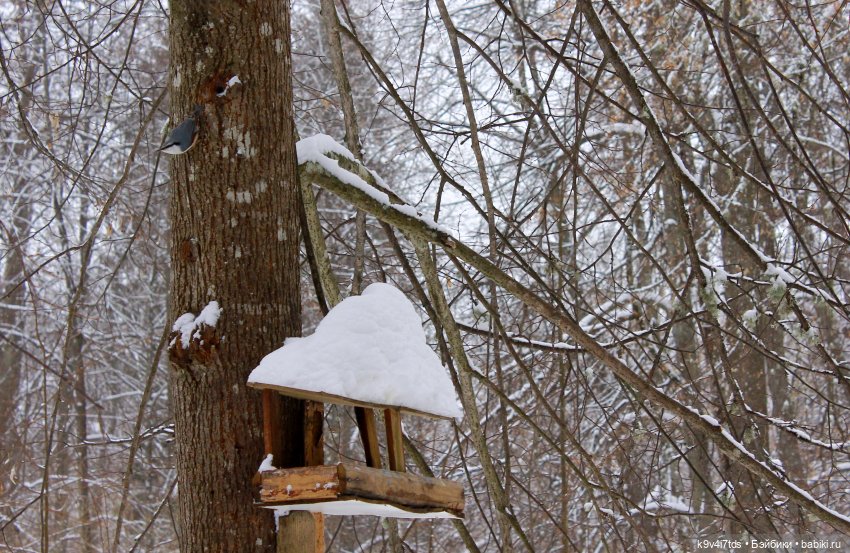 Путешествие в сказочное "Василёво" | Бэйбики Путешествие в сказочное "Василёво"