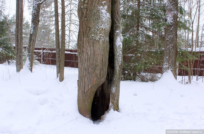 Путешествие в сказочное "Василёво" | Бэйбики Путешествие в сказочное "Василёво"