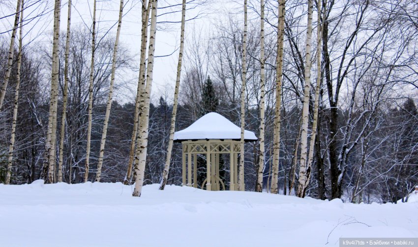 Путешествие в сказочное "Василёво" | Бэйбики Путешествие в сказочное "Василёво"