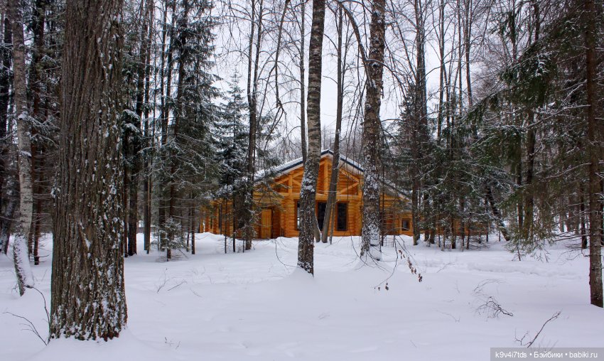 Путешествие в сказочное "Василёво" | Бэйбики Путешествие в сказочное "Василёво"