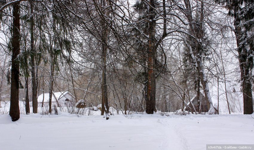 Путешествие в сказочное "Василёво" | Бэйбики Путешествие в сказочное "Василёво"