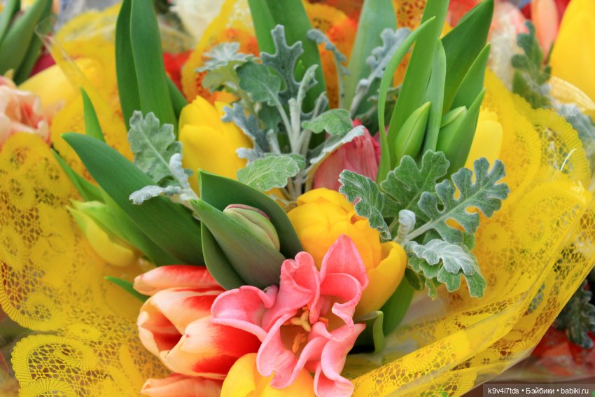 Маленький Париж. Выставка тюльпанов в г. Твери