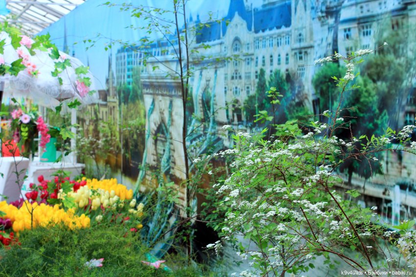 Маленький Париж. Выставка тюльпанов в г. Твери