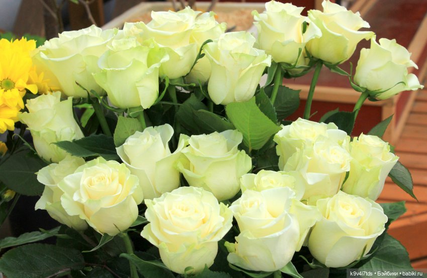 Маленький Париж. Выставка тюльпанов в г. Твери