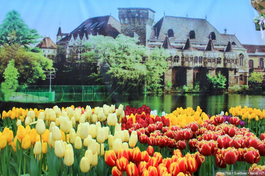 Маленький Париж. Выставка тюльпанов в г. Твери (фото 7)