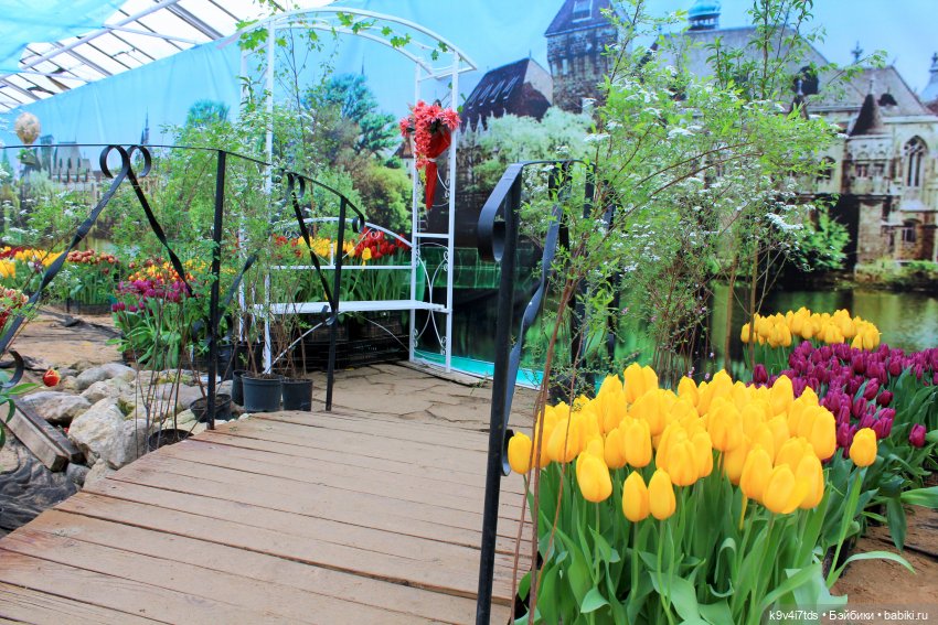 Маленький Париж. Выставка тюльпанов в г. Твери