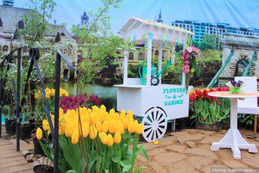 Маленький Париж. Выставка тюльпанов в г. Твери (фото 3)