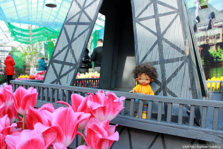 Маленький Париж. Выставка тюльпанов в г. Твери