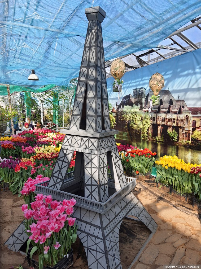 Маленький Париж. Выставка тюльпанов в г. Твери
