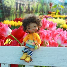 Маленький Париж. Выставка тюльпанов в г. Твери