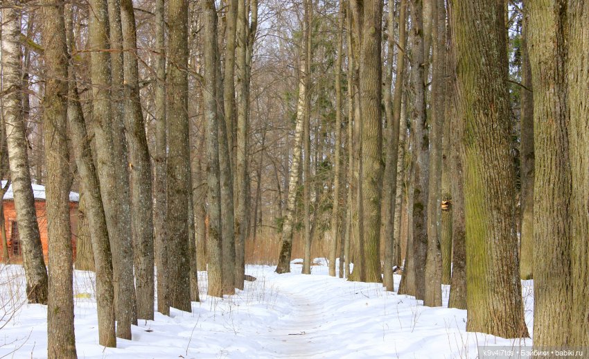 Ириска встречает Весну. Nia © [Toffee] (фото 8)