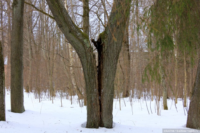 Ириска встречает Весну. Nia © [Toffee]