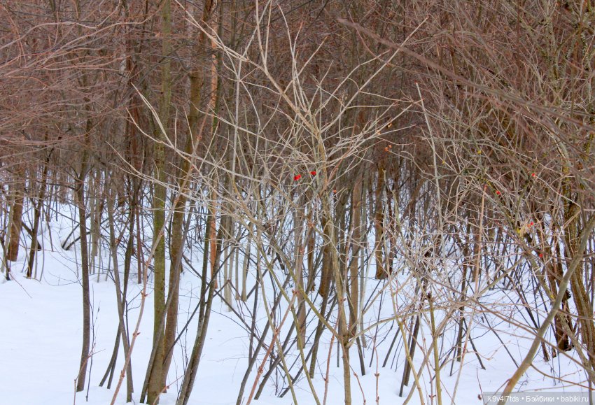 Ириска встречает Весну. Nia © [Toffee]