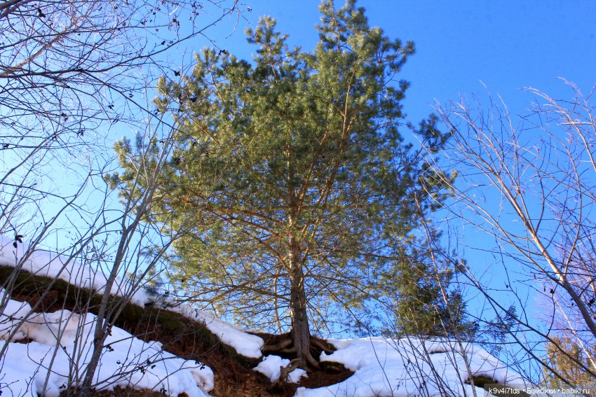 Ириска и Водопад. Nia © [Toffee]