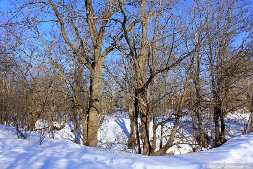 Ириска и Водопад. Nia © [Toffee]