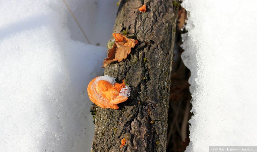 Ириска и Водопад. Nia © [Toffee]