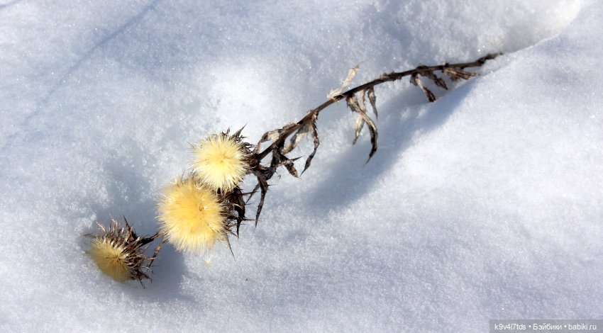 Ириска и Водопад. Nia © [Toffee]