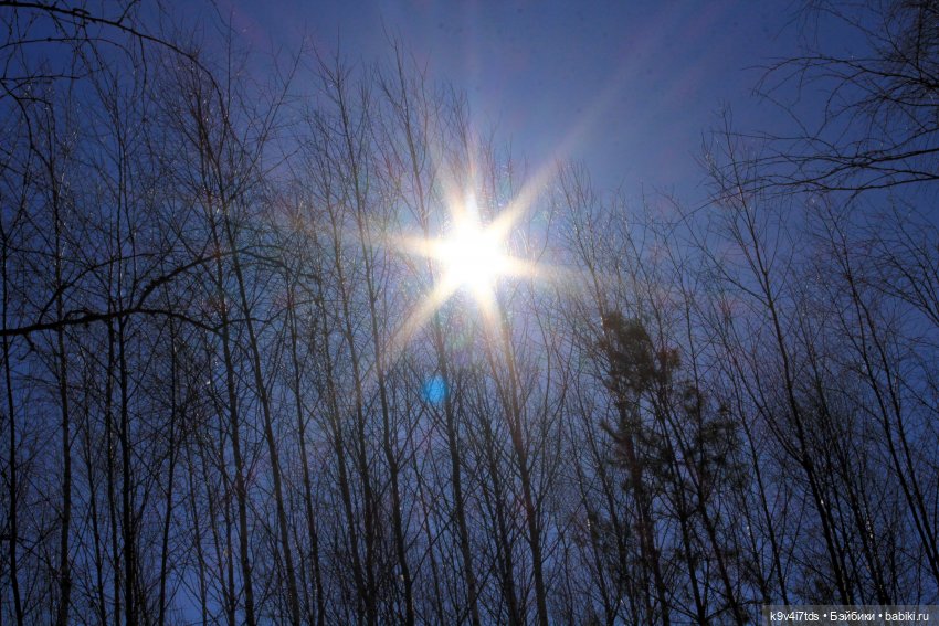 Мартовский день в "Саду камней" (фото 3)