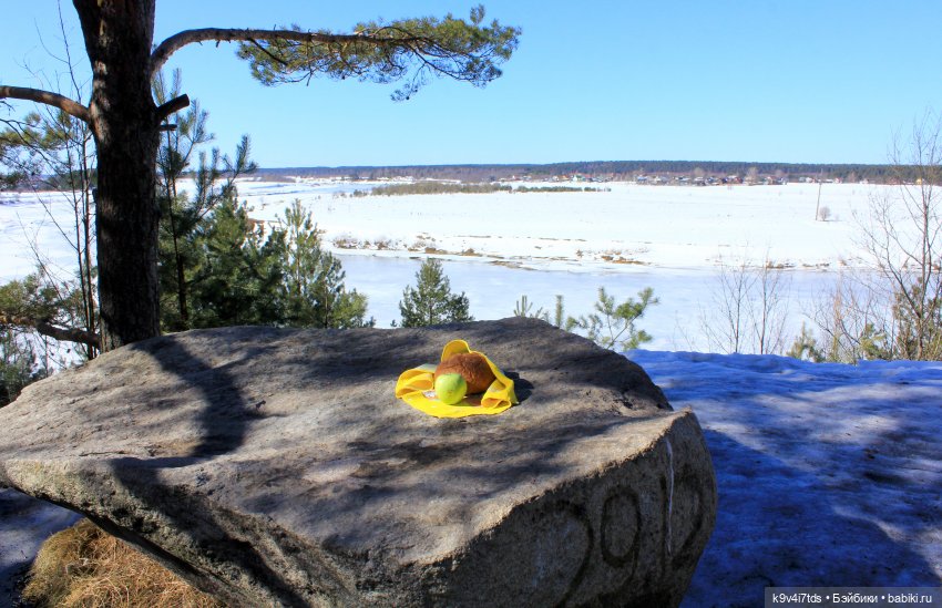 Мартовский день в "Саду камней"