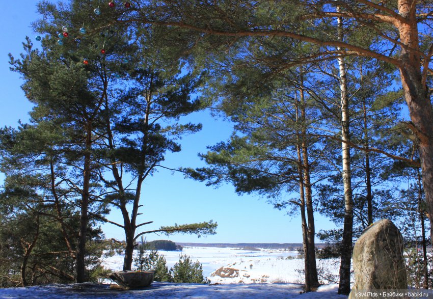 Мартовский день в "Саду камней" (фото 7)