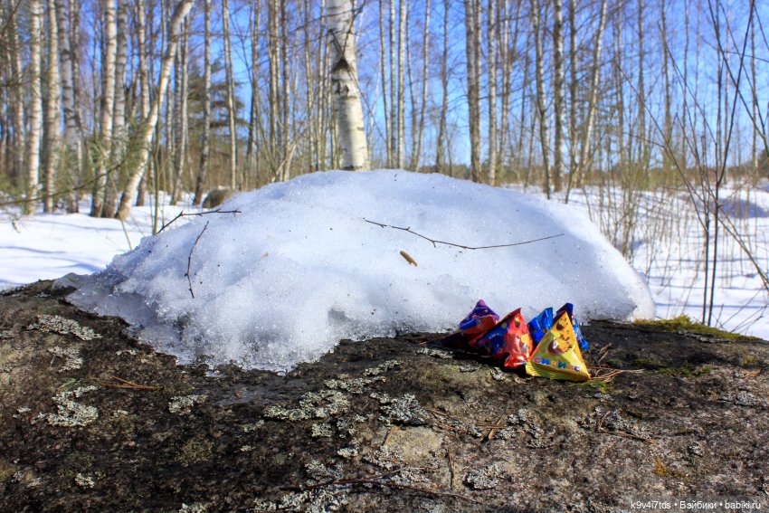 Мартовский день в "Саду камней"